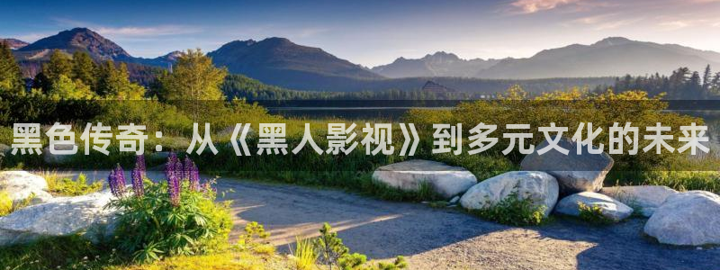 湖北省南瓜：黑色傳奇：從《黑人影視》到多元文化的未來