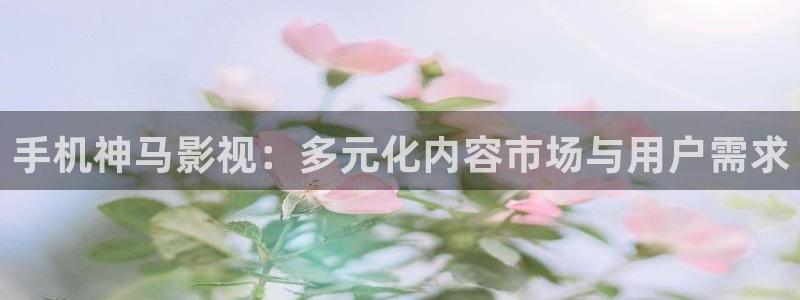 湖北省南瓜：手機(jī)神馬影視：多元化內(nèi)容市場與用戶需求